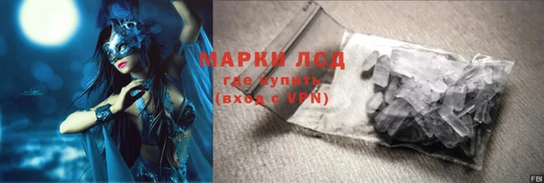 спиды Гусев