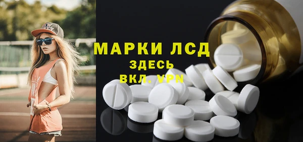 спиды Гусев