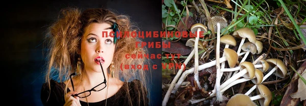 спиды Гусь-Хрустальный