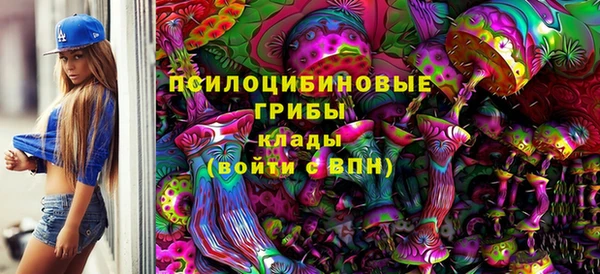 спиды Гусев