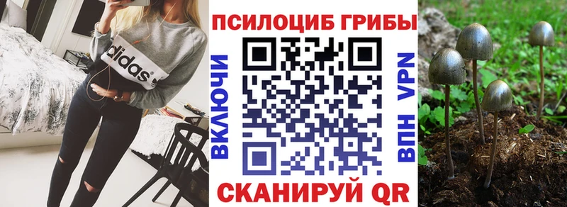 Галлюциногенные грибы прущие грибы  где купить наркоту  kraken сайт  Плёс 